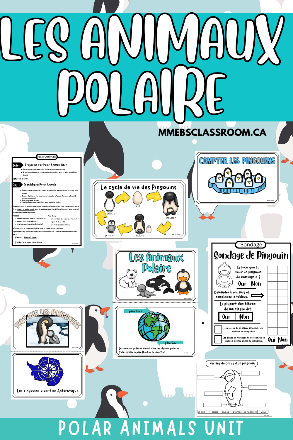Les Animaux polaires / Polar Animals – Mme B's Classroom